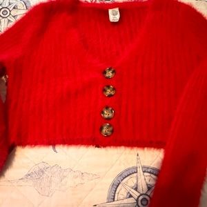 Urban outfitters red cropped sweater